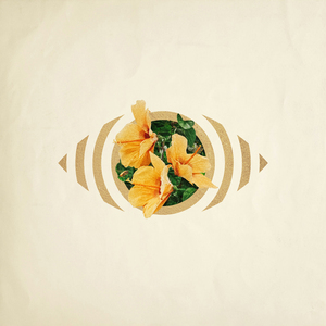 吃春药和自摩到高潮想要大鸡巴干BB的黄色片
